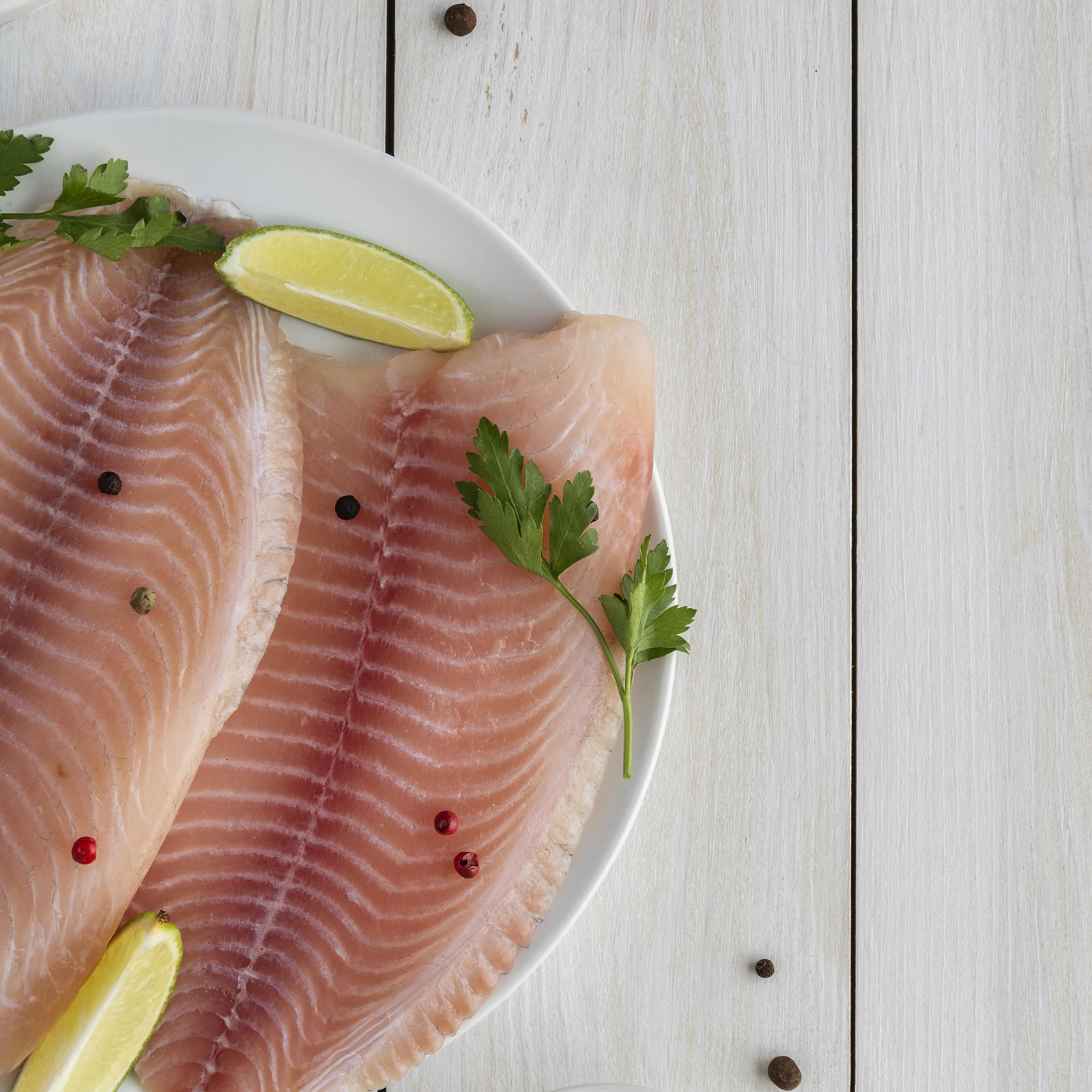 PESCADOS CONGELADOS – Cooperativas paranaenses lideram