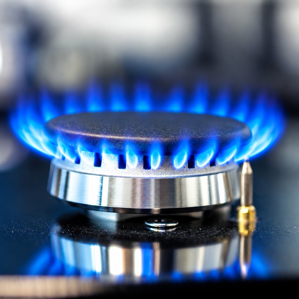 GÁS DE BOTIJÃO – Ultragaz domina categoria